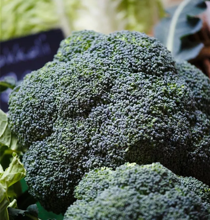 Broccoli
